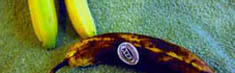 Bananer